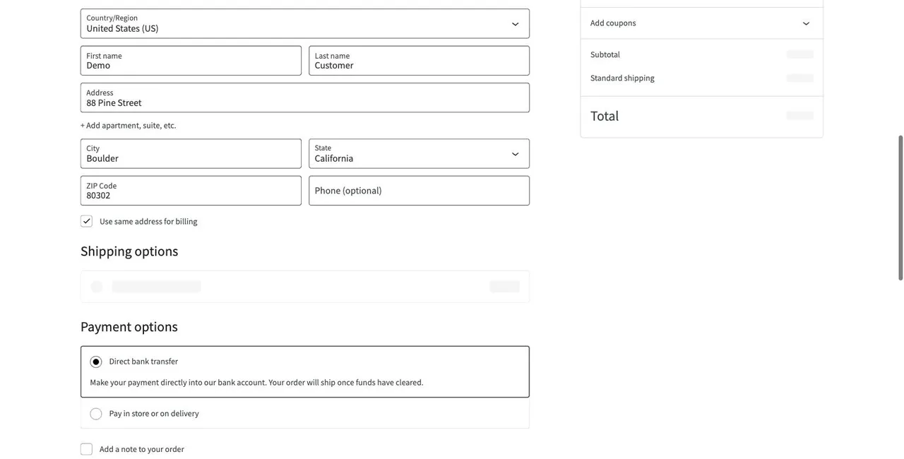 Demo store checkout form with shipping address fields, shipping options, and payment options during a monitored journey run.